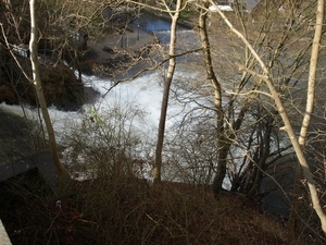 P1177225