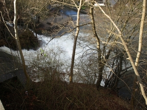 P1177226