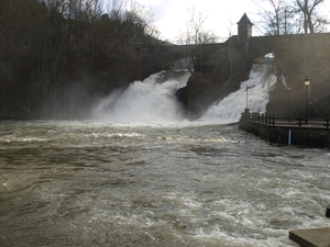 P1177236