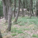 Mittelalterpfad (14)