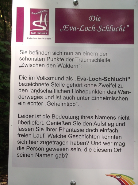 Zwischenden waldern (49)