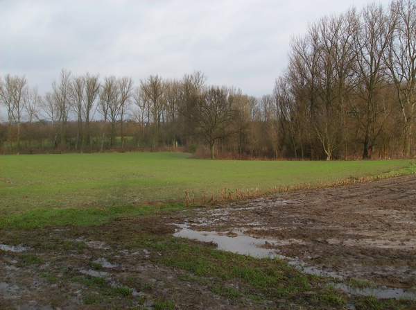 Haaltert Januari 2015 005