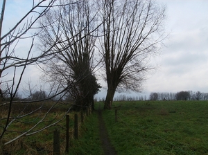 Haaltert Januari 2015 006