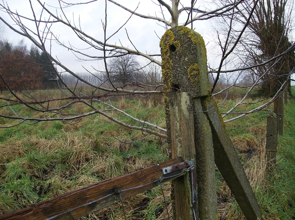 Haaltert Januari 2015 007