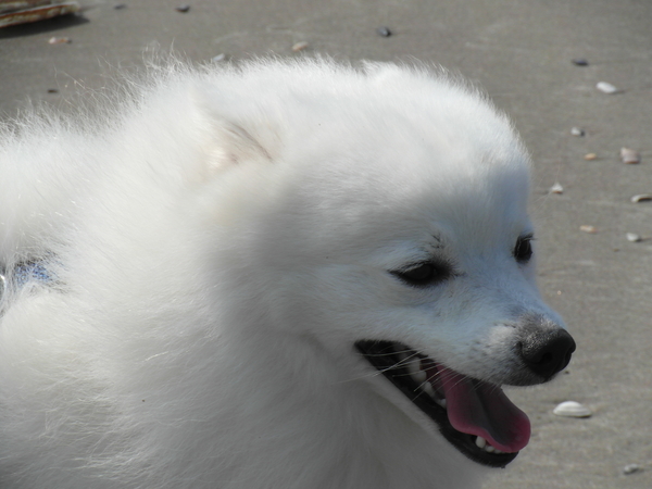 SAM_0664