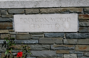 Polygon Wood 003