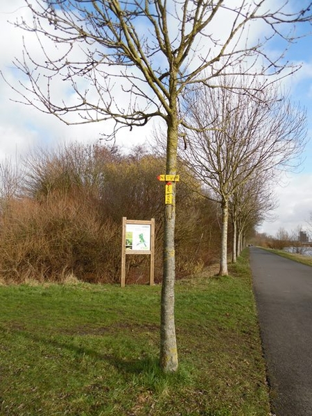 27-Langs Leiebos