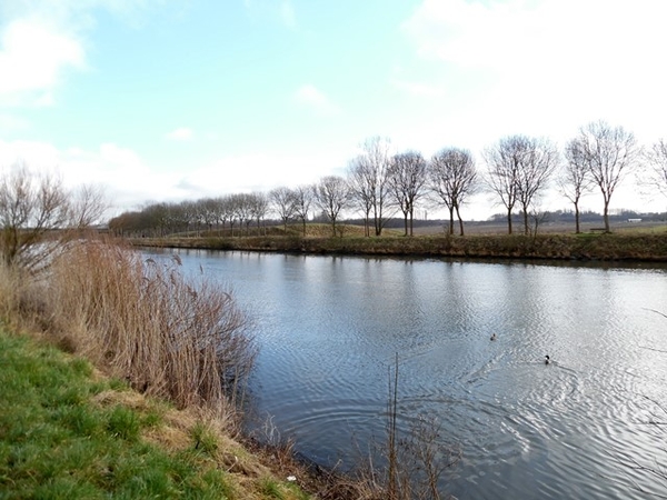 33-De Leie in Wevelgem