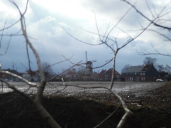 75-Vanbutseles molen in Wevelgem