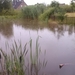 CAM00184