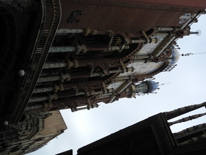 DSCN0971