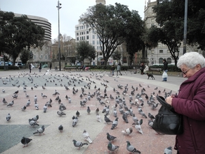 DSCN0980
