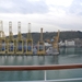 DSCN0992