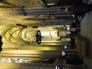 DSCN0960