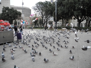 DSCN0979