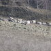 P2070016