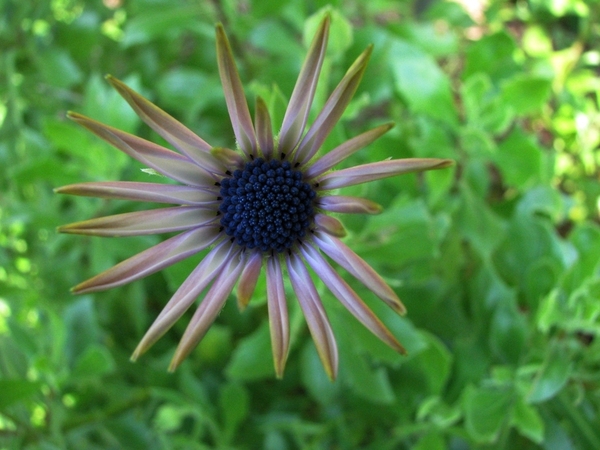 MACRO (34)