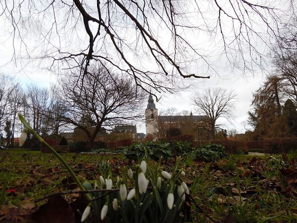 71-De tuinen en St-Gorgoniuskerk in Hoegaarden