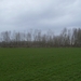 Zomergem Februari 2015 008