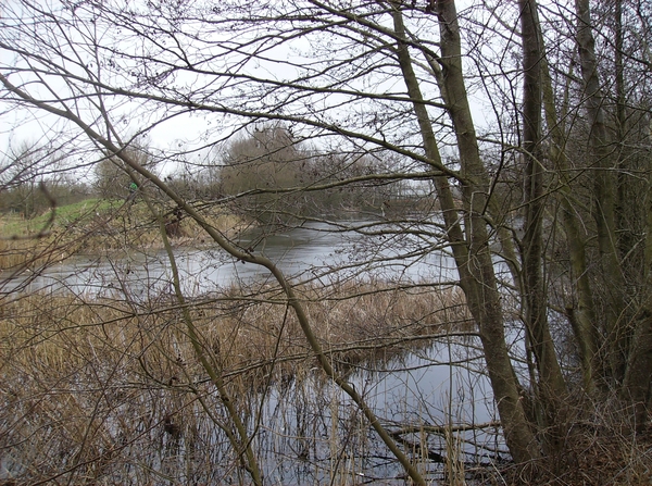 Zomergem Februari 2015 019