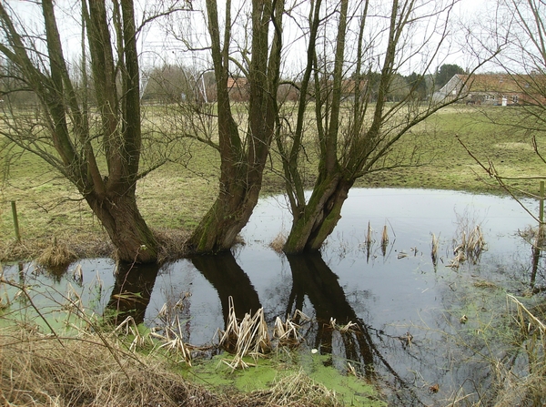 Zomergem Februari 2015 021