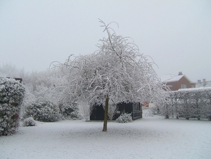 sneeuwlandschap 21 december 2007 006