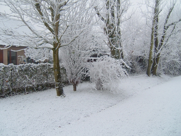 sneeuwlandschap 21 december 2007 007