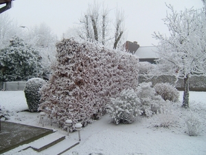 sneeuwlandschap 21 december 2007 009