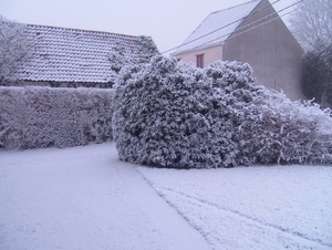 sneeuwlandschap 21 december 2007 002