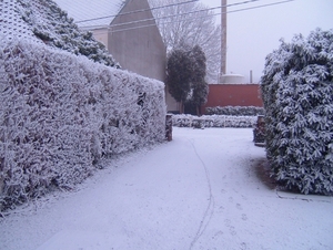 sneeuwlandschap 21 december 2007 003