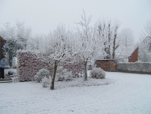 sneeuwlandschap 21 december 2007 004