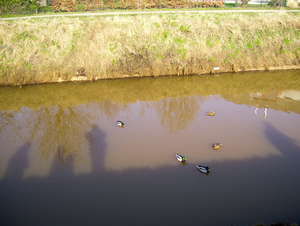 Wandeling naar Bonheiden - 12 februari 2015