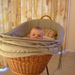 nisse 063