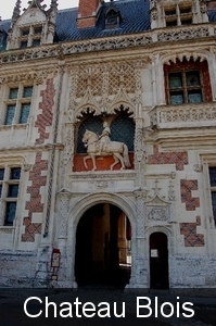 Chateau Blois