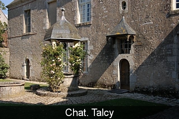 Chat. Talcy 2