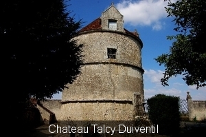 Chateau Talcy 13
