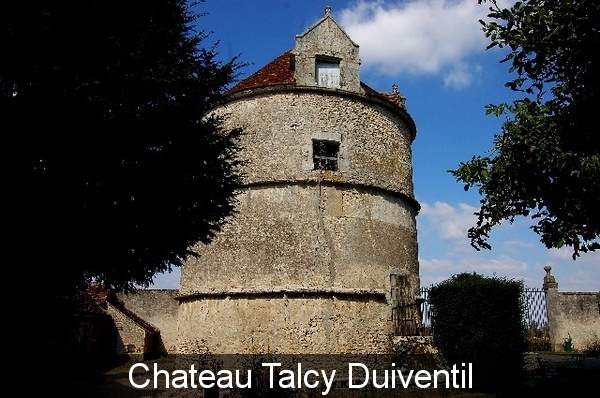 Chateau Talcy 13