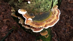 20150110_145516