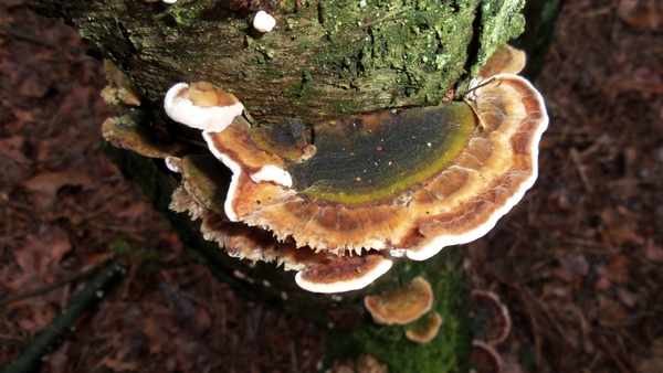 20150110_145516