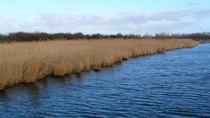 P1400573