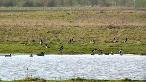 P1400574