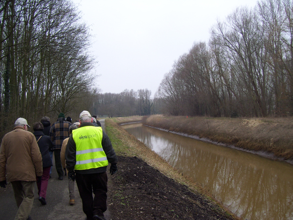 Wandeling in Katelijne - 19 februari 2015