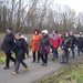 Wandeling in Katelijne - 19 februari 2015