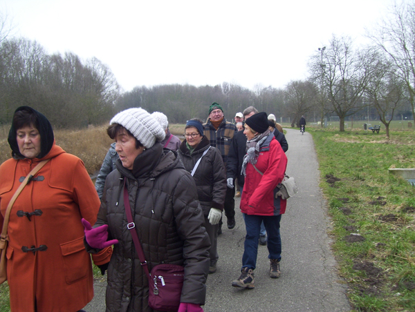 Wandeling in Katelijne - 19 februari 2015