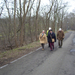 Wandeling in Katelijne - 19 februari 2015