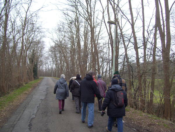 Wandeling in Katelijne - 19 februari 2015