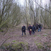 Wandeling in Katelijne - 19 februari 2015