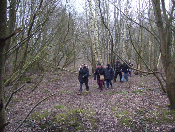 Wandeling in Katelijne - 19 februari 2015