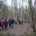 Wandeling in Katelijne - 19 februari 2015