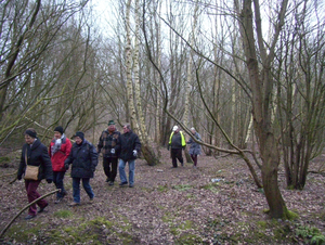 Wandeling in Katelijne - 19 februari 2015